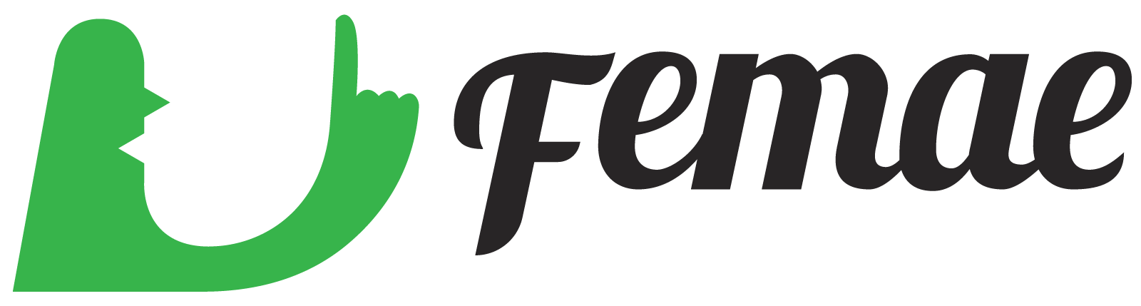 FEMAE